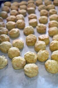 Picture of Baby Biscuits by 67 Biltmore Downtown Eatery and Catering in Asheville, NC
