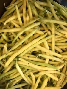 Picture of Late Summer Wax Beans by 67 Biltmore Downtown Eatery & Catering in Asheville, NC