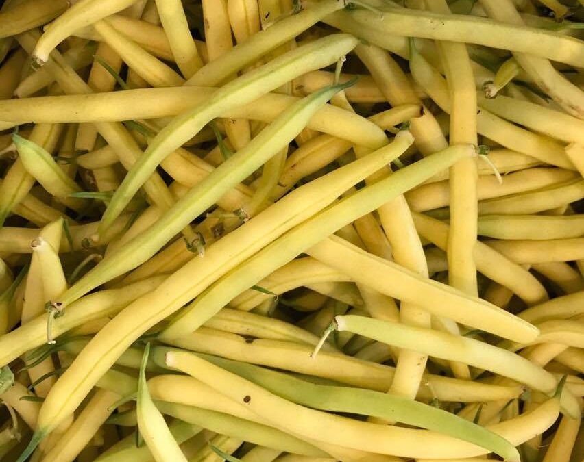Late Summer Wax Beans by 67 Biltmore Downtown Eatery and Catering in Asheville, NC